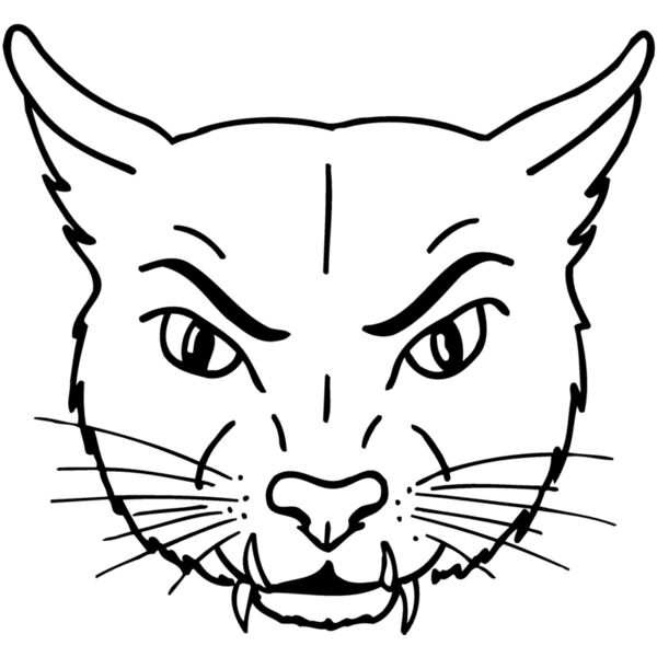 CAT19 Thumbnail